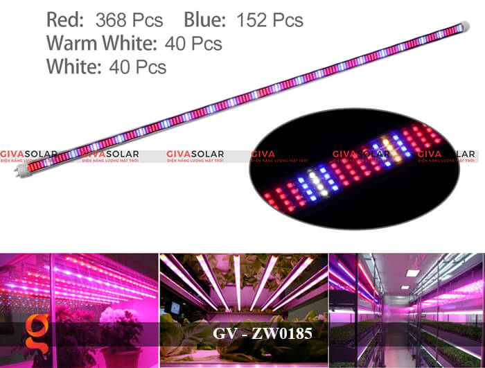 Đèn Led quang hợp ống tuýp GV-ZW0185 2