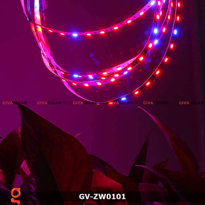 Dây đèn led quang hợp cho cây GV-ZW0101 2