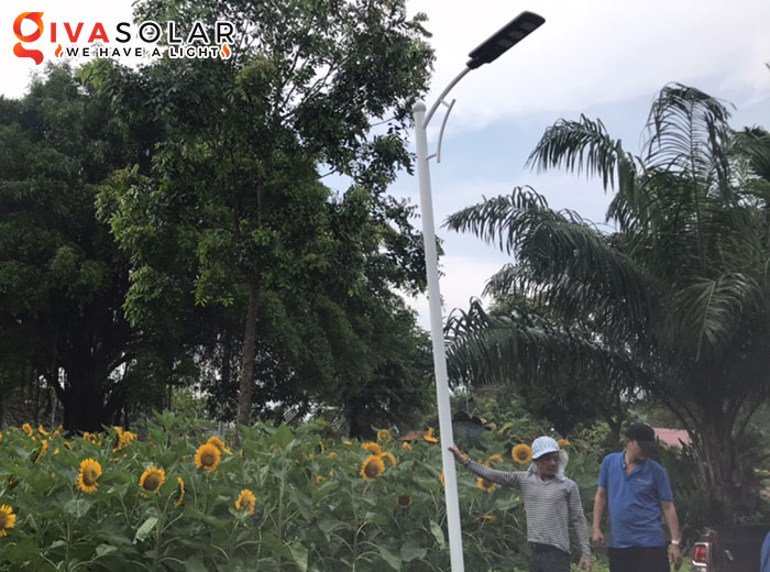 Lắp đặt hệ thống đèn Solar chiếu sáng ở Khu du lịch Bửu Long, Đồng Nai 8